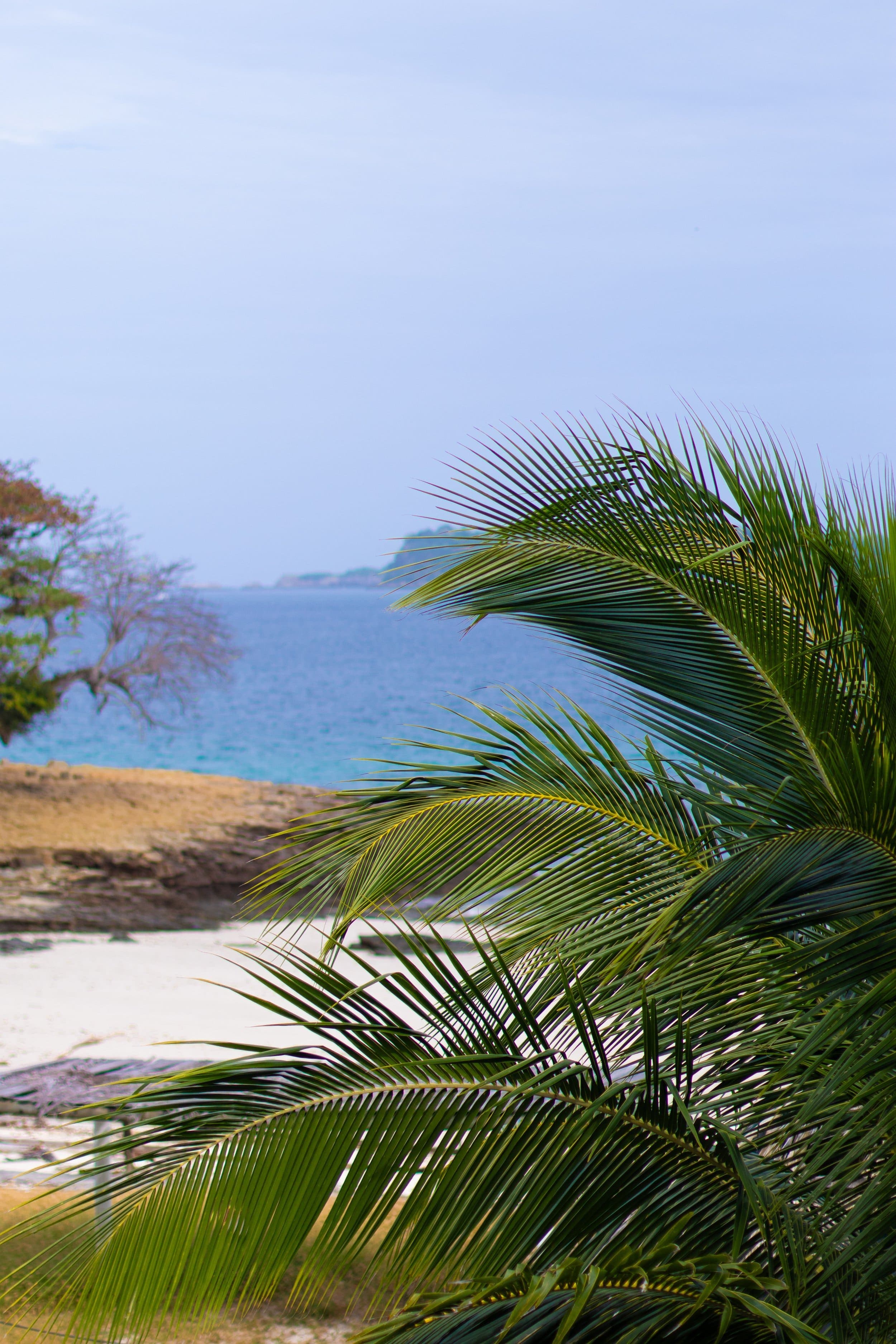 Tropical beach view